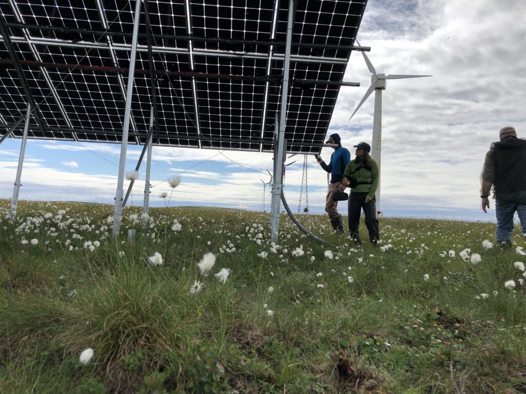 People standing around solar panels, and standing in front of a wind turbine