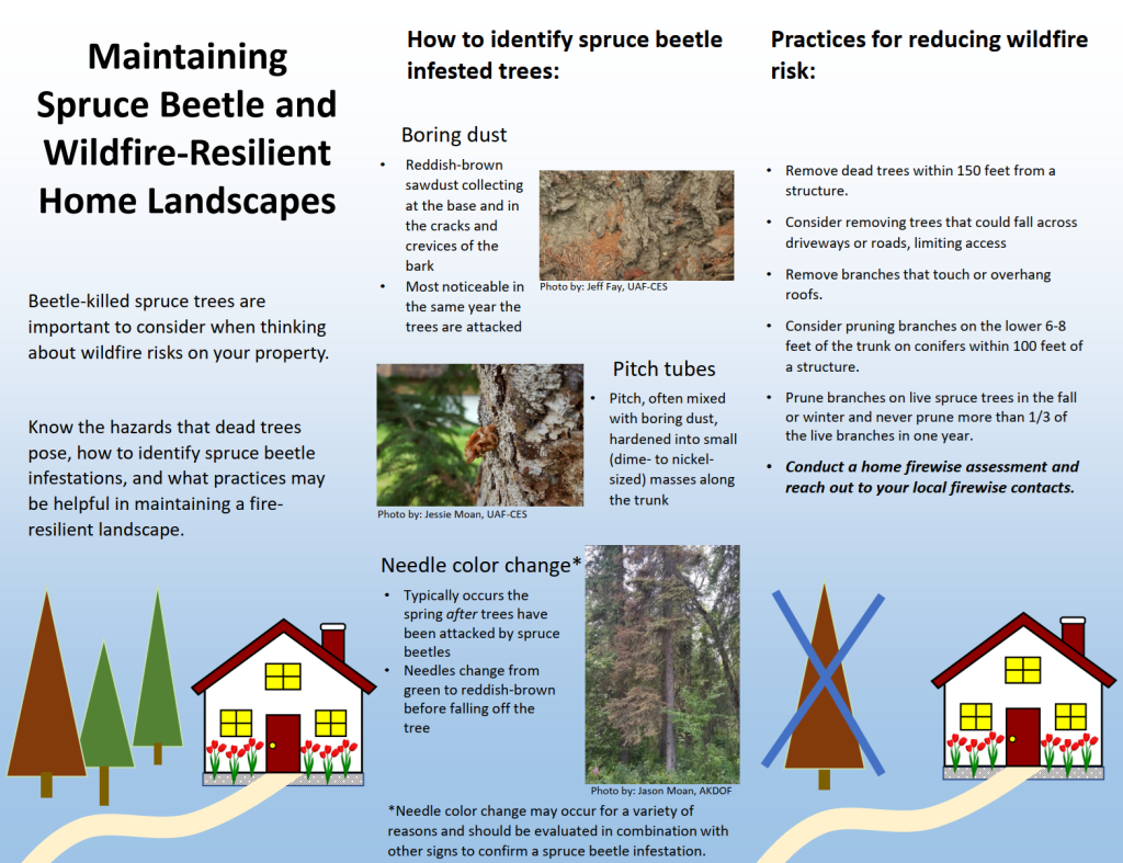 Spruce_Bark_Beetle_Flier_Page_1