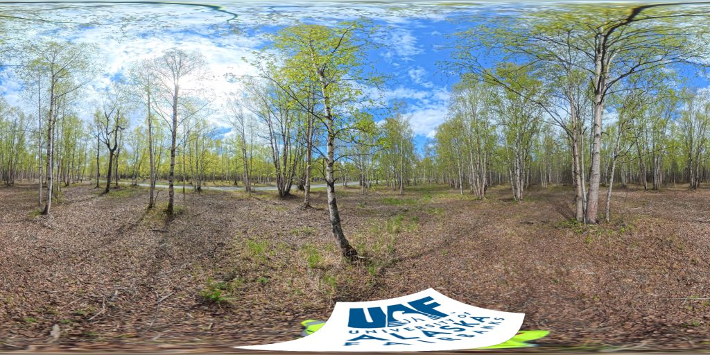 360 image