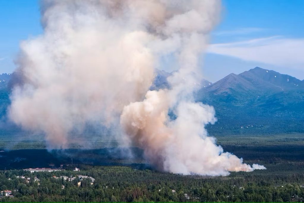 WUICAT forest fire image